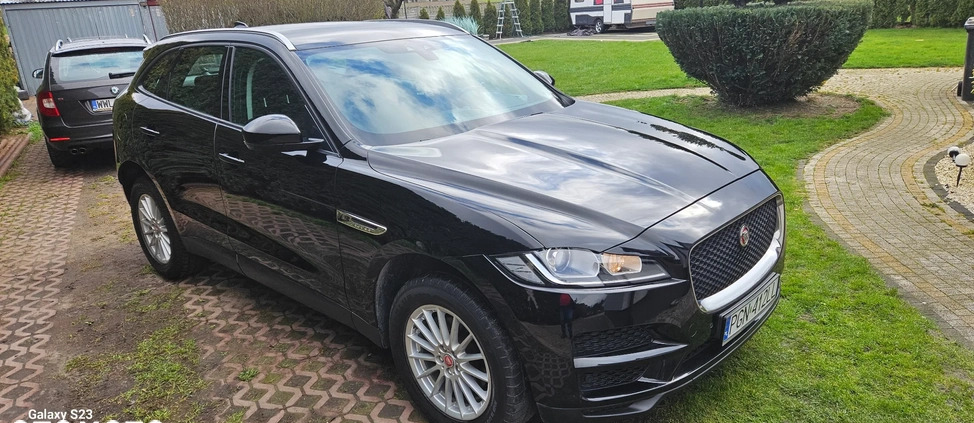 Jaguar F-Pace cena 102900 przebieg: 125150, rok produkcji 2018 z Trzemeszno małe 704